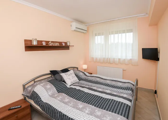 Rozsa Voelgy Apartman