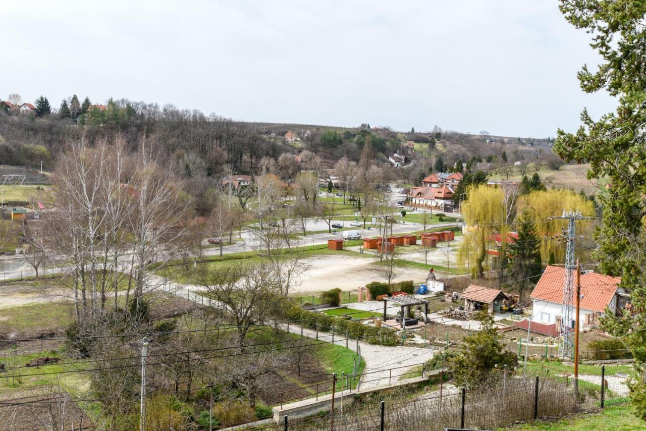 Rozsa Voelgy * Erlau